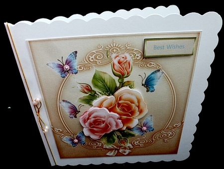 Rose blush by Diane  Hitchcox