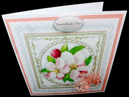Beautiful Apple Blossom on lace  by Diane  Hitchcox