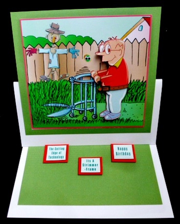 I love my Strimmer Frame - decoupage by Diane  Hitchcox