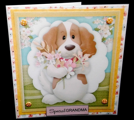 Doggies Birthday Gift  by Diane  Hitchcox