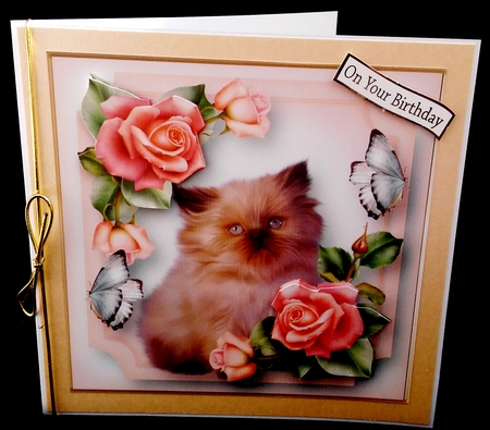 Kitten, Roses & Flutters by Diane  Hitchcox
