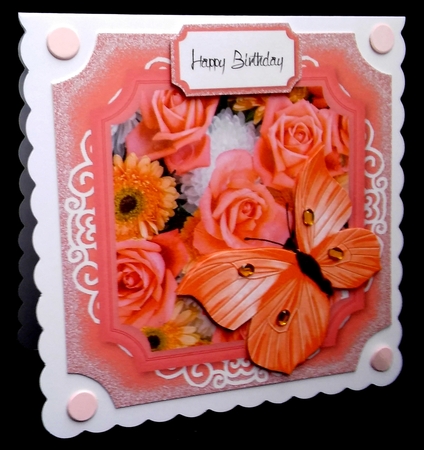 Peach and Orange Butterfly by Diane  Hitchcox