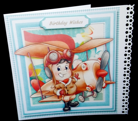 The Young Aviator  by Diane  Hitchcox