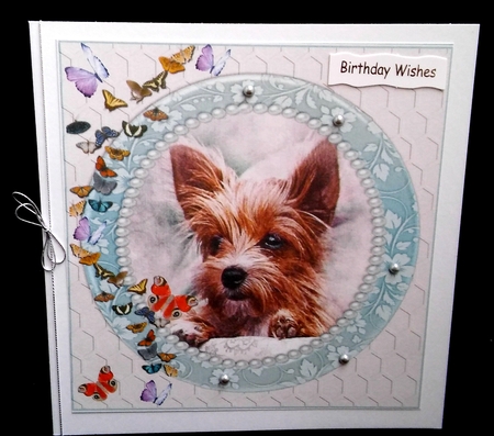 YORKIE WATCHING BUTTERFLIES MULTI SENTIMENT GET WELL BIRTHDAY BEST WISHES by Diane  Hitchcox