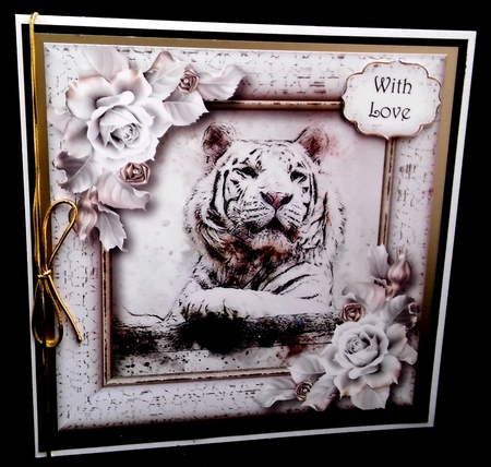The White Tiger 8x8 by Diane  Hitchcox