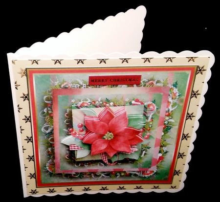 Red poinsettia and baubles by Diane  Hitchcox