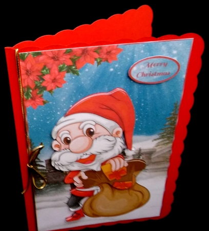 Wee Santa by Diane  Hitchcox