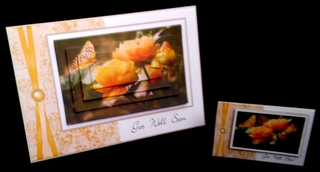 Floral Get Well Mini Kit by Diane  Hitchcox