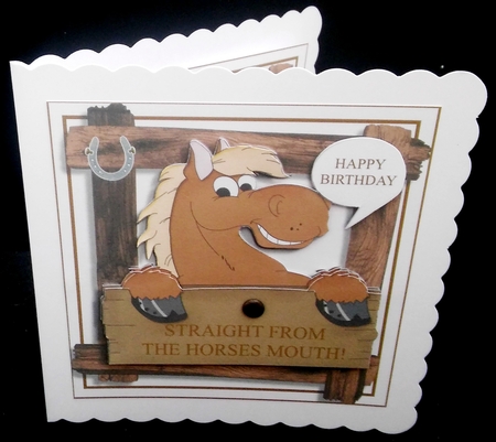 Straight From The Horses Mouth by Diane  Hitchcox