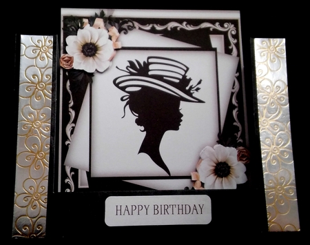 Beautiful Silhouette in Monochrome  by Diane  Hitchcox