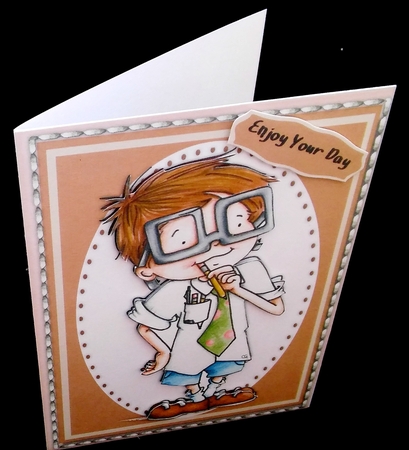 The Mathematical Genius  by Diane  Hitchcox