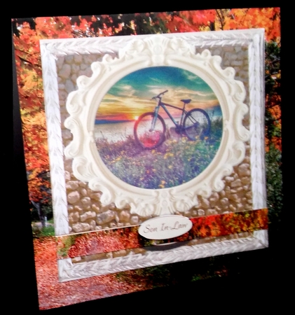 MALE RELATIVES MULTI SENTIMENT LOTS OF CATEGORIES 14 CYCLING by Diane  Hitchcox