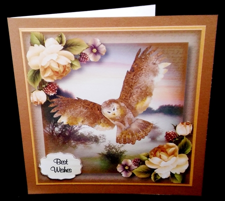 The Wild Owl 8x8 by Diane  Hitchcox