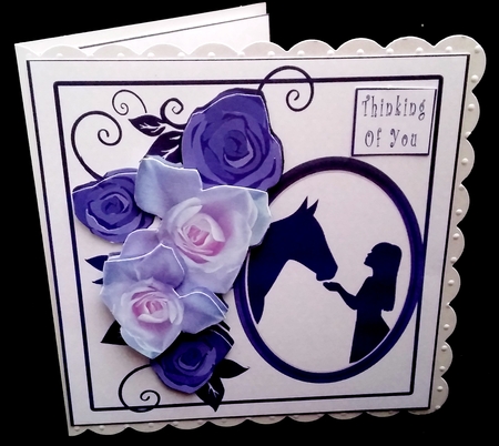Horse Crazy - Decoupage by Diane  Hitchcox