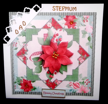 Red Poinsettia by Diane  Hitchcox