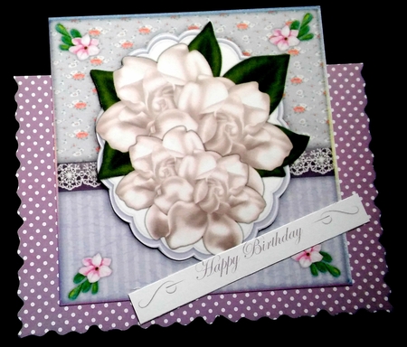 Beautiful White Magnolias on a lace Boarder by Diane  Hitchcox