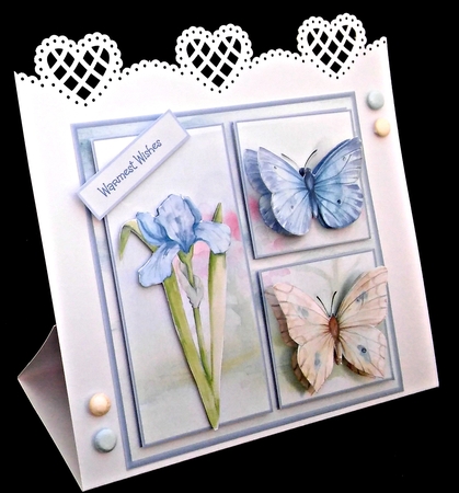 Iris and butterflies by Diane  Hitchcox