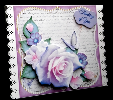 Versatile Roses 1 by Diane  Hitchcox