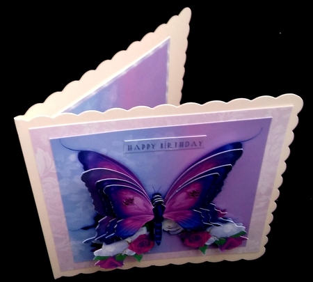 Purple Butterfly by Diane  Hitchcox
