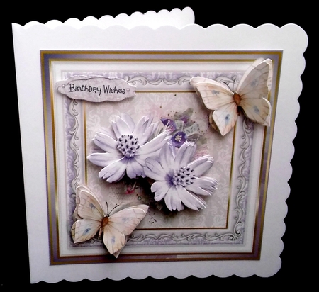 Lilac daisy 7x7 by Diane  Hitchcox