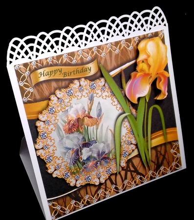 Bejewelled Blooms - Flag Iris by Diane  Hitchcox