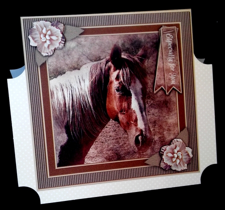 Pretty Pony 8x8 Card Front Topper by Diane  Hitchcox