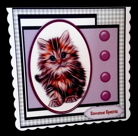 An Adorable Kitty by Diane  Hitchcox