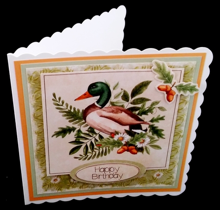 Forest Friends Duck by Diane  Hitchcox