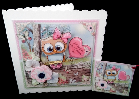 The Little Owl by Diane  Hitchcox