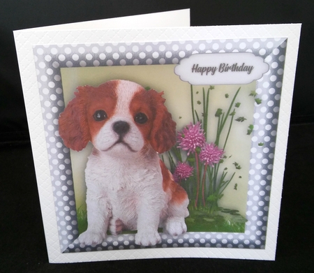 Beautiful King Charles Pup by Diane  Hitchcox