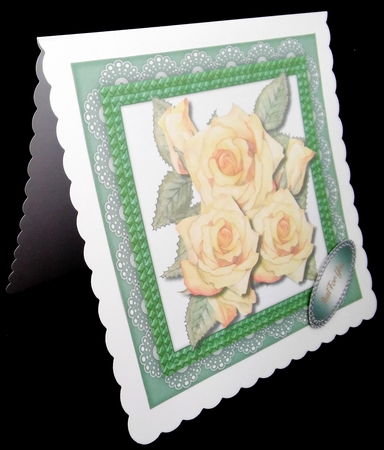 Beautiful Yellow Roses on a Double Rope Frame by Diane  Hitchcox
