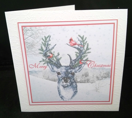 Christmas Deer with Snow x 4 Images by Diane  Hitchcox