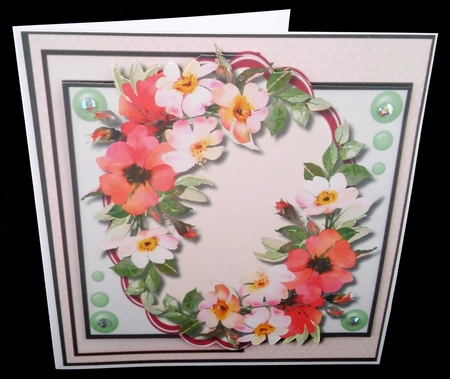 Bautiful  Wild Brier Roses  by Diane  Hitchcox