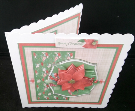 Red poinsettia by Diane  Hitchcox