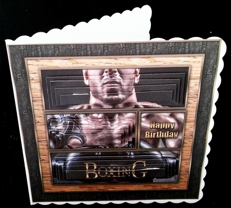 Boxing 8x8 Pyramage Mini Kit by Diane  Hitchcox