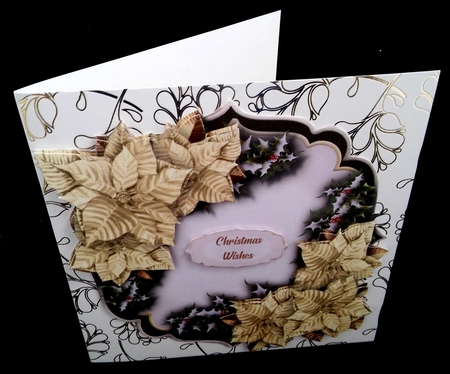 Beautiful Cream Christmas Poinsettias by Diane  Hitchcox