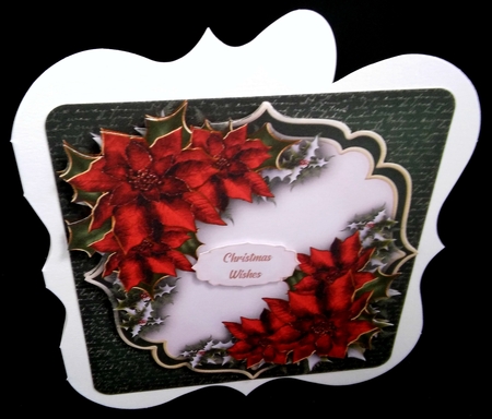 Beautiful Red Christmas Poinsettias by Diane  Hitchcox