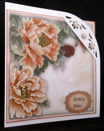Beautiful Cream Peonys by Diane  Hitchcox