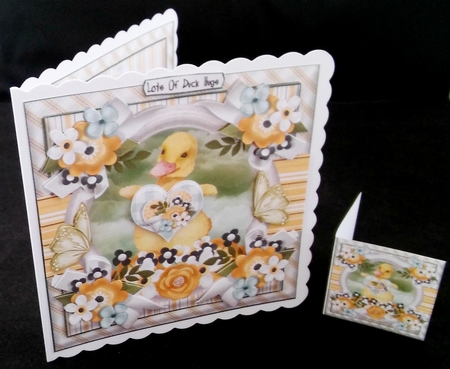 8 x 8 Mini Kit: Happy Ducks by Diane  Hitchcox