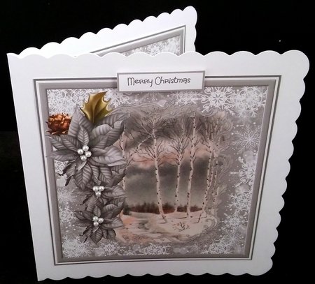 Winters day by Diane  Hitchcox