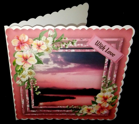 Beautiful Pink Sunset by Diane  Hitchcox