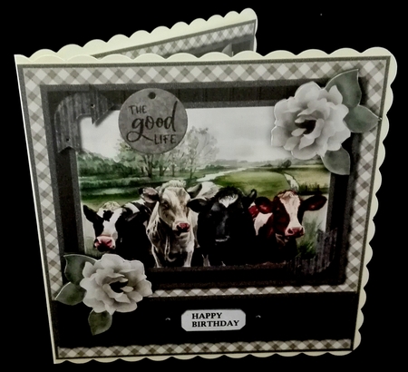 The Good Life  Nr. 1 Cows by Diane  Hitchcox