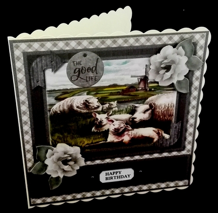 The Good Life Nr. 2  Sheeps by Diane  Hitchcox