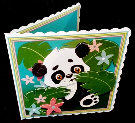 Peeking Baby Panda by Diane  Hitchcox
