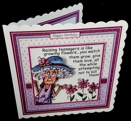 STELLA on RAISING TEENAGERS 7.5 Humorous Decoupage & Insert Mini Kit by Diane  Hitchcox