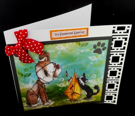 An Unfortunate Accident by Diane  Hitchcox