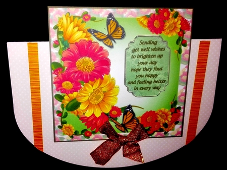 Butterflies and flowers by Diane  Hitchcox
