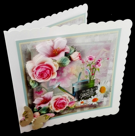 Summer pink rose by Diane  Hitchcox