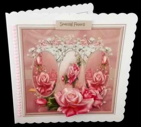 A mirror of roses by Diane  Hitchcox