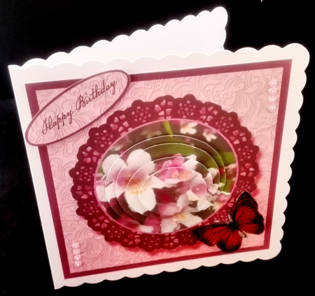Honeysuckle Birthday Featured Gallery Photo